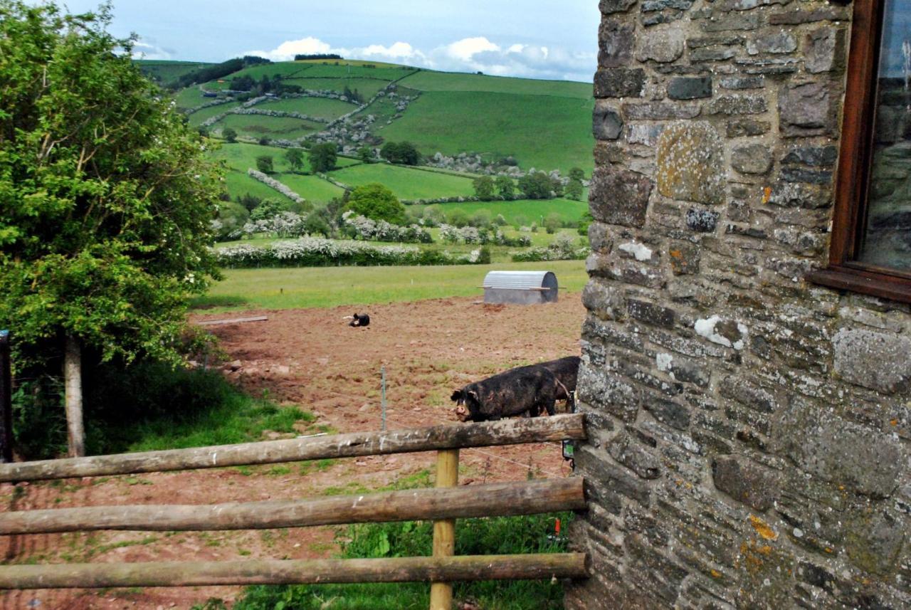Eco Cottage Joe The Buck Craven Arms Exterior foto
