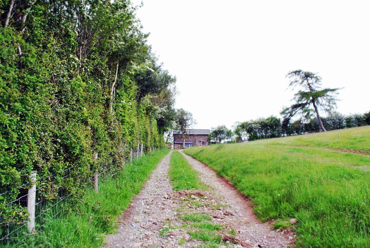 Eco Cottage Joe The Buck Craven Arms Exterior foto